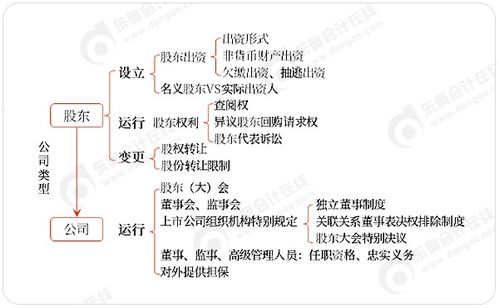 東奧名師陳小球揭秘 6張圖直擊中級會計《經濟法》重要章節命題思路